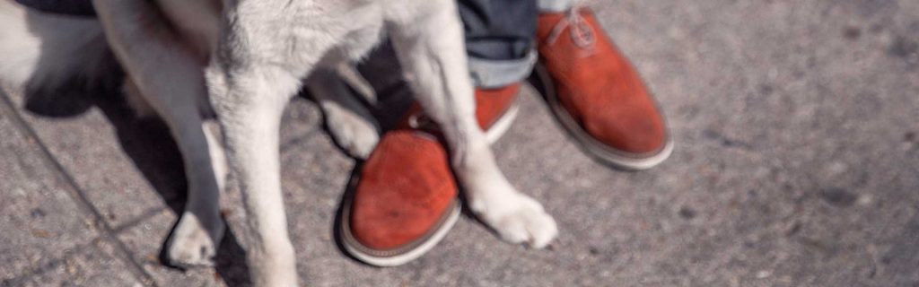 Wildlederschuhe reinigen – Die besten Tipps zum pflegen